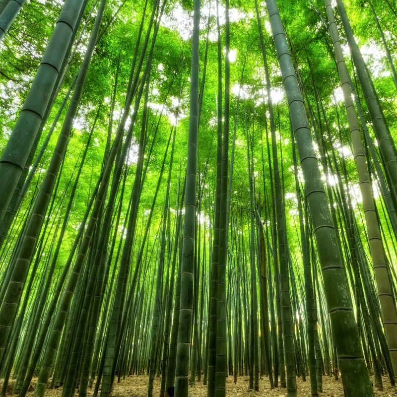 Vamos falar sobre as tendências na retomada do&nbsp;consumo?